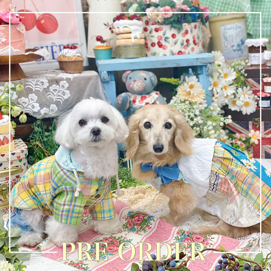 de wan | アズノゥアズ 犬服・ドッグウェアブランド通販 de wan | アズノゥアズ 犬服・ドッグウェアブランド通販