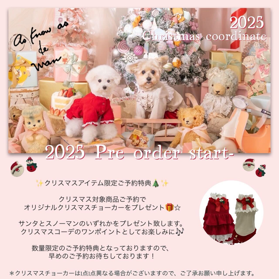 アズノウアズデワン size2 4枚セット デワン | 愛犬とママ パパのお揃いコーデも取り扱う犬服通販サイト