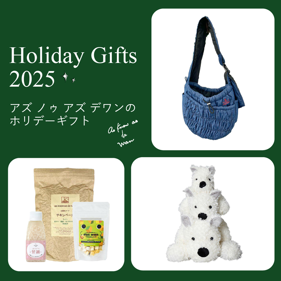 dewan クリスマスプレゼント