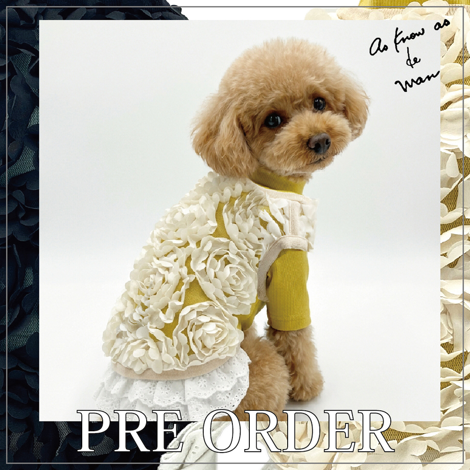 デワン | 愛犬とママ パパのお揃いコーデも取り扱う犬服通販サイト