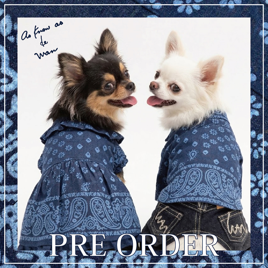 de wan preorder